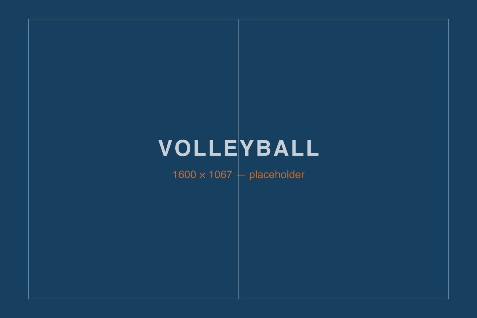 Volleyball action photograph — a player rising to attack at the net during a match.